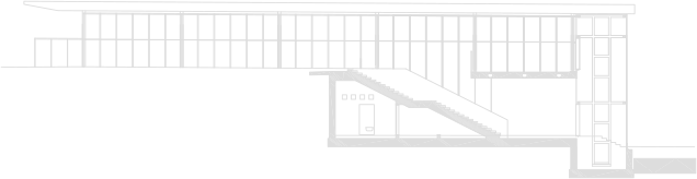 section